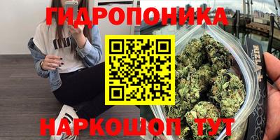 мдпв Краснознаменск