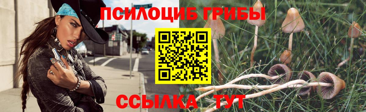 Калуга  Галлюциногенные грибы прущие грибы  Вход с VPN  Псилоцибиновые грибы мицелий 